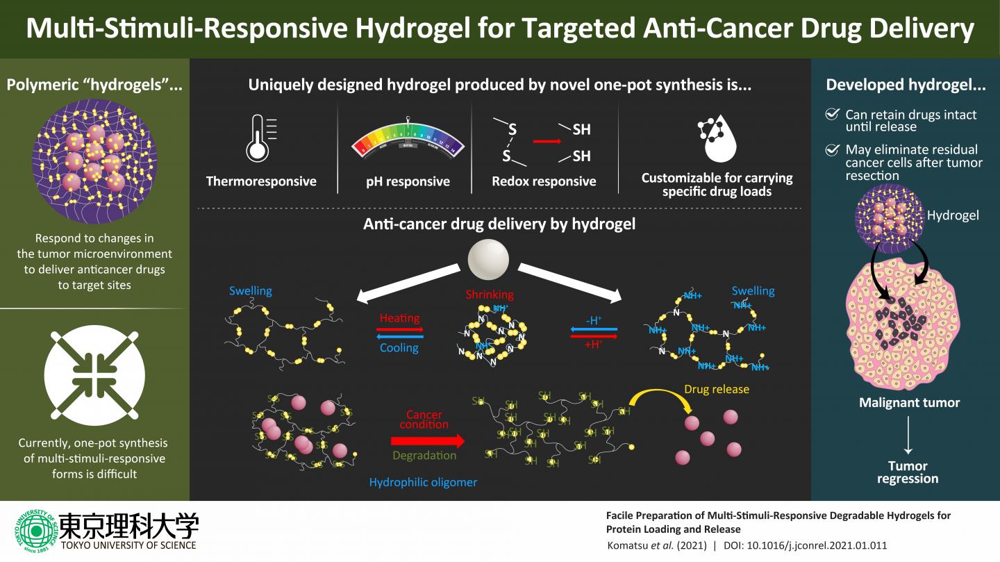 Novel Hydrogel Carriers For Anti Cancer Dru Eurekalert 7684