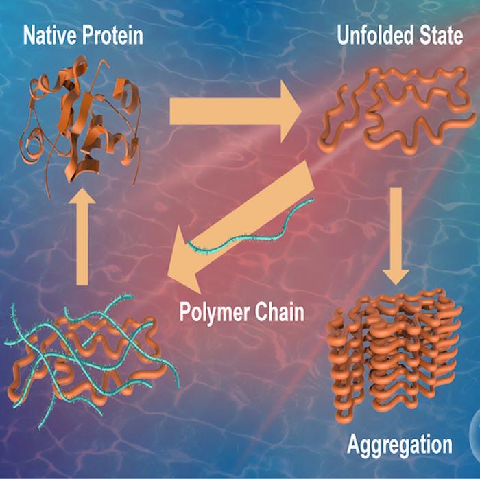 Unfavorable conditions can lead to protein misfolding and aggregate formation