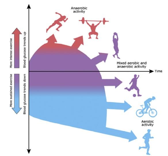 Wilderness Medical Society Issues Important New Clinical Practice Guidelines for Diabetes Management