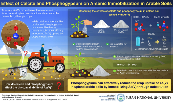 Using calcium materials to reduce arsenate uptake by crops in upland, arable soils