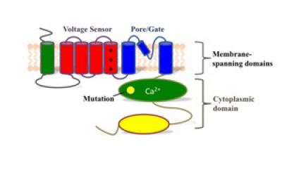BK Channel Building Block