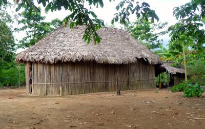 Traditional Shuar Home