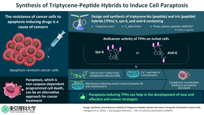 Synthesis of triptycene-peptide hybrids that can bring about “paraptosis” in cancer cells
