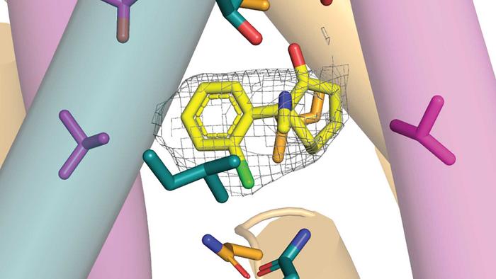 Ketamine binding pattern