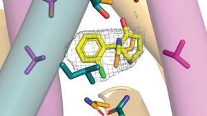 Ketamine binding pattern