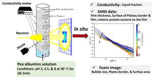 Graphical abstract