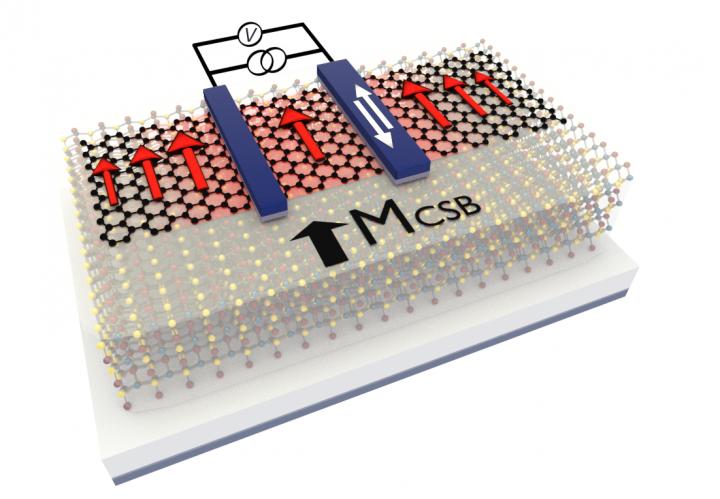 Illustration of device used in the study