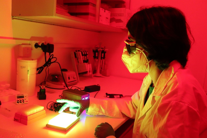 Laia Josa Culleré, author of the study, at the Institute for Advanced Chemistry of Catalonia.