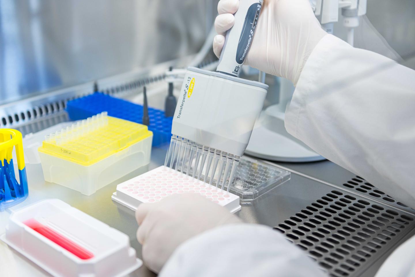 Filling a 96-well cell culture plate with nutrient medium