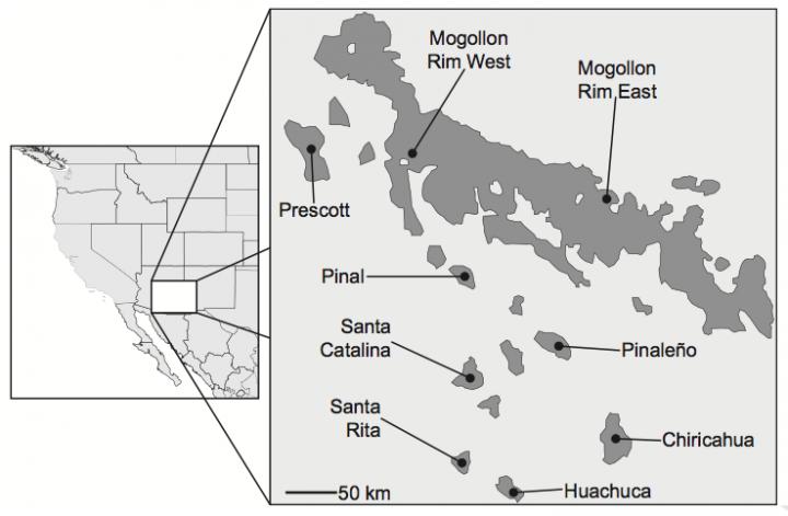 Arizona's 'Sky Islands'