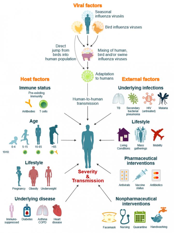 A Combination of Factors Influence the Severity of a Flu Pandemic