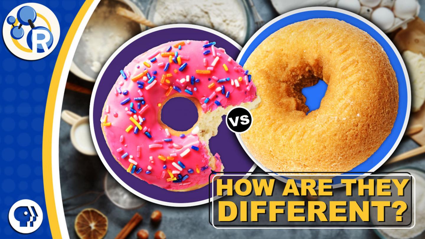 Why Cake Donuts and Yeast Donuts Are so Different (Video)