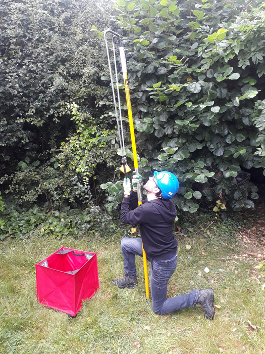 Researcher Guthrie Allen at work taking samples in the canopy, credit University of East Anglia.