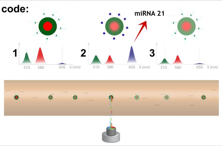Device for Multiplex Fluorescence Detection of microRNA