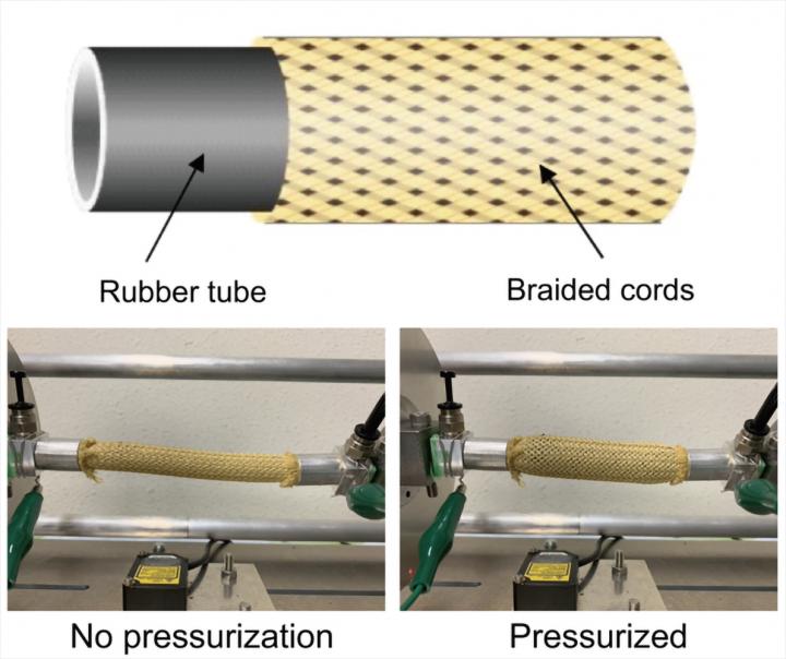 Pneumatic Artificial Muscle