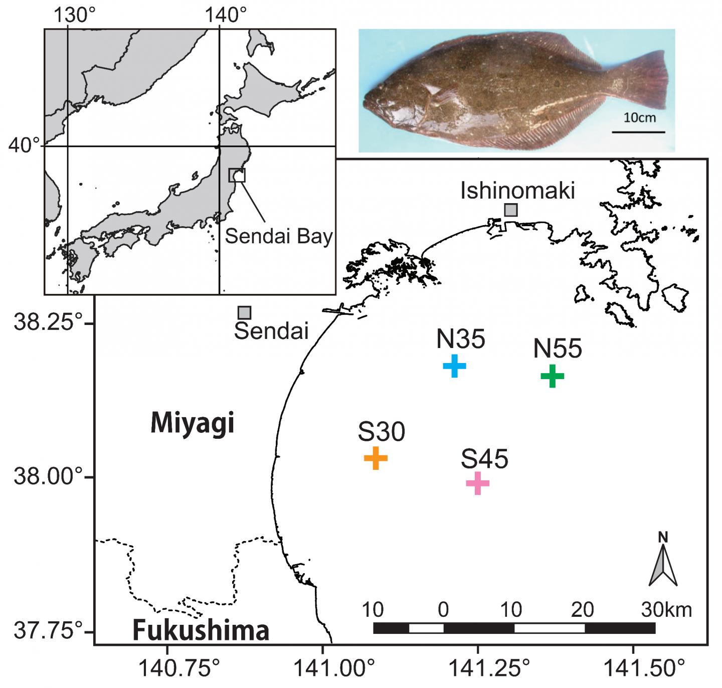 Fig. 1 Sampling sites