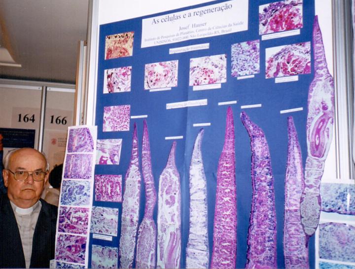 Prof. Dr. Josef Hauser