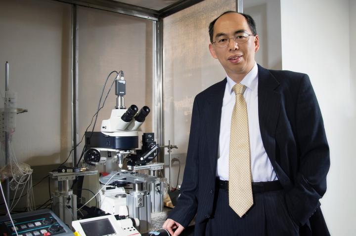 Jian Feng, Ph.D., Jacobs School of Medicine and Biomedical Sciences at the University at Buffalo