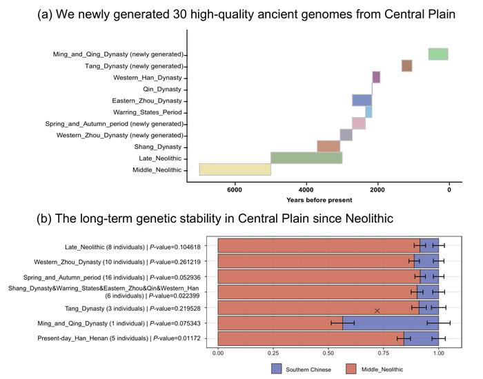 Ancient genomes shed light on the long-term genetic stability in the Central Plain of China