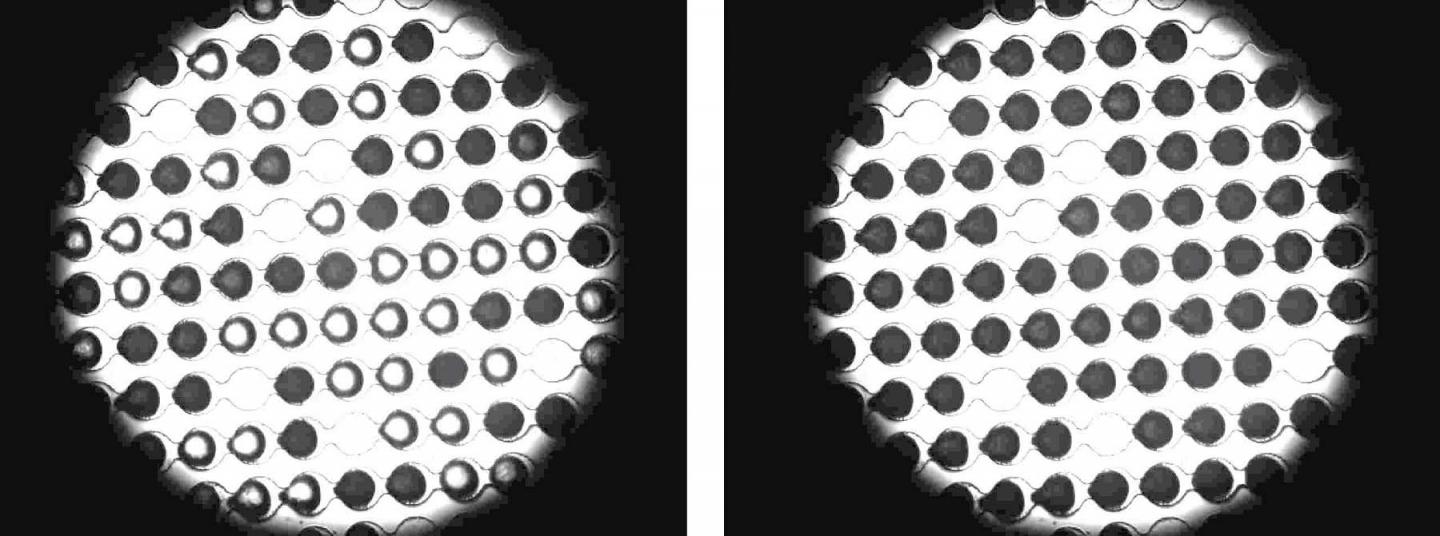 View Of A Research Chip Through A Microscope