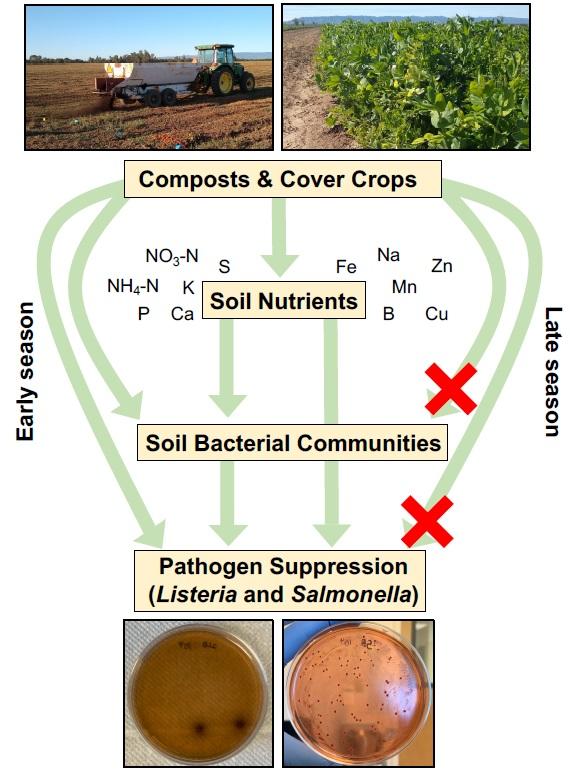 Organic Composts May Help Farmers Prevent Foodborne Disease Outbreaks