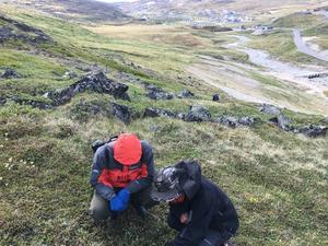 View of the sampling area