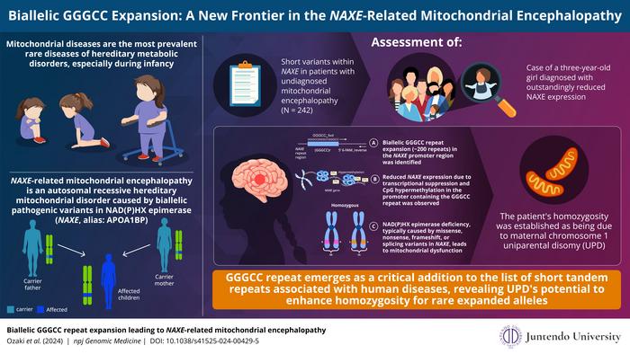 Biallelic GGGCC Expansion: A New Short Tandem Repeat leading to NAXE-Related Mitochondrial Encephalopathy