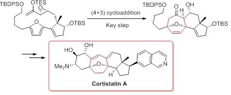 Key Step in the Synthetic Route to Cortistatin A