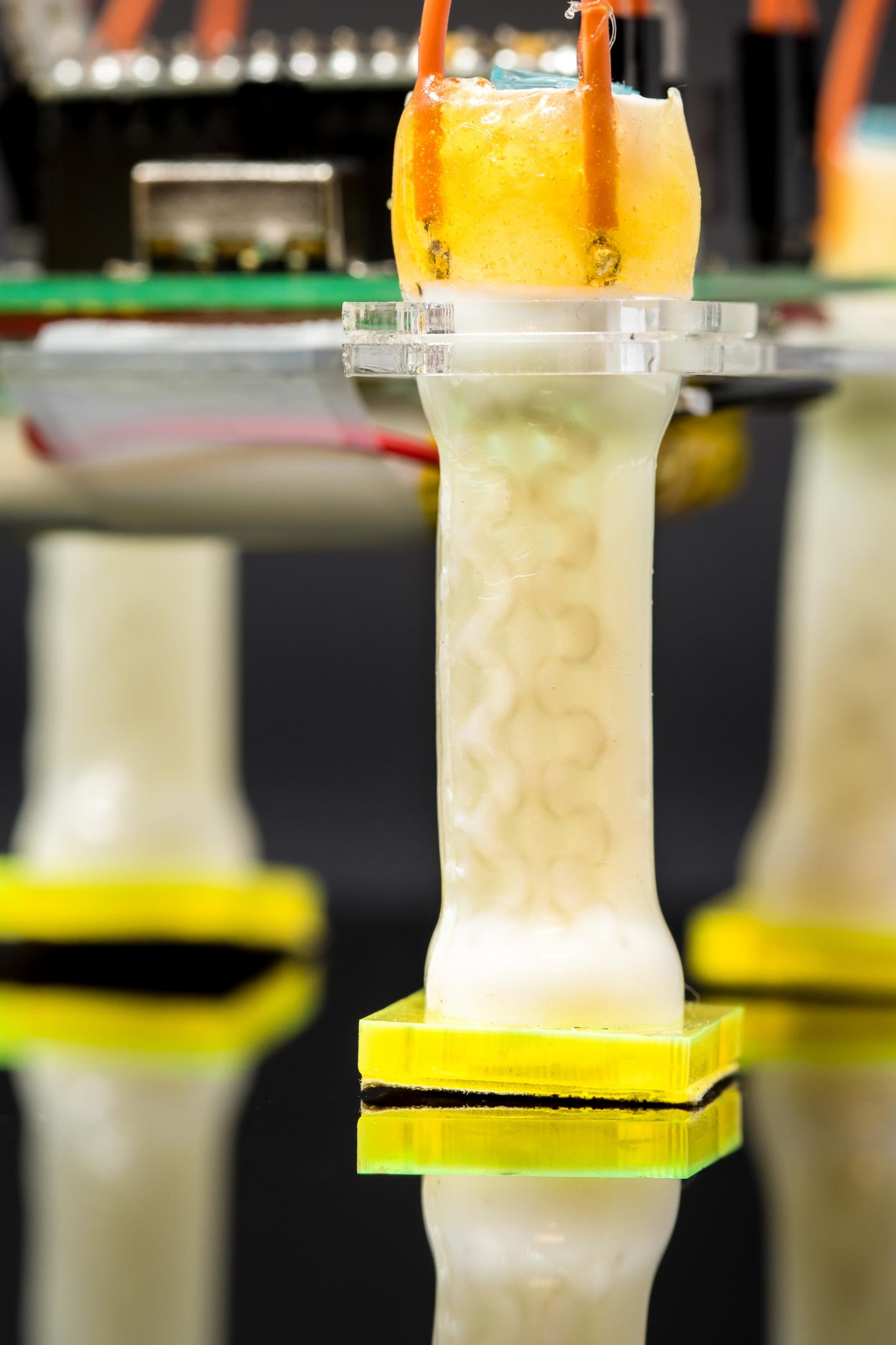 Electrically Controlled Liquid Crystal Elasto EurekAlert 