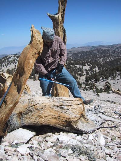 Jim Parks, University of Arizona