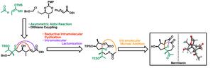 The Concept of Total Synthesis of Merrillianin