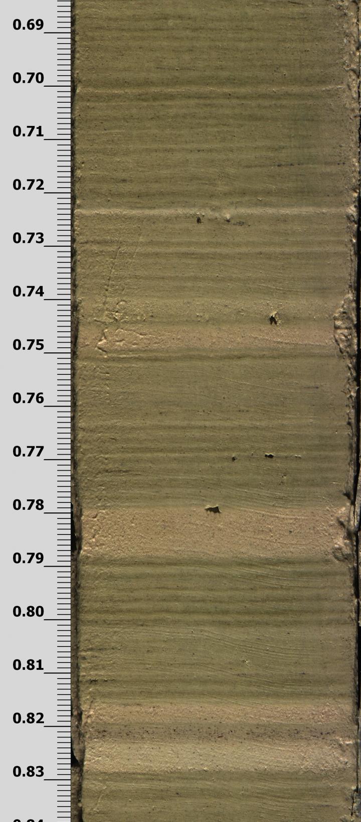 The Drill Core Section