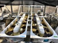 Artificial Stream Facility