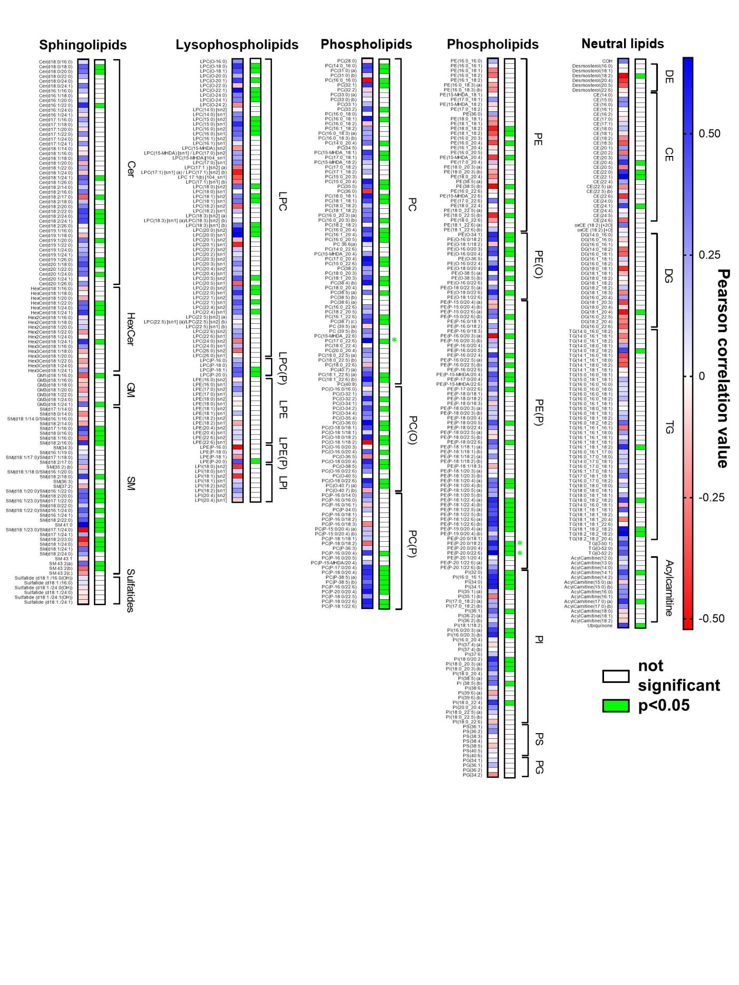 Lipid Species in the Heart and Plasma