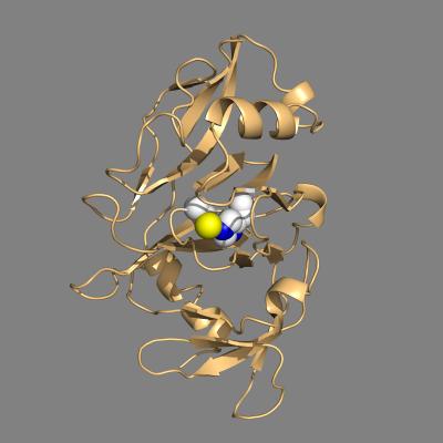Burkholderia Lethal Factor 1