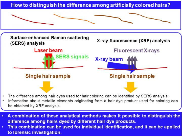 Forensic Identification of Single Dyed Hair Strand