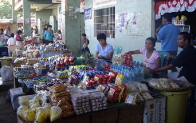 Researchers: Microcredit Works in Ways Proponents Don't Expect