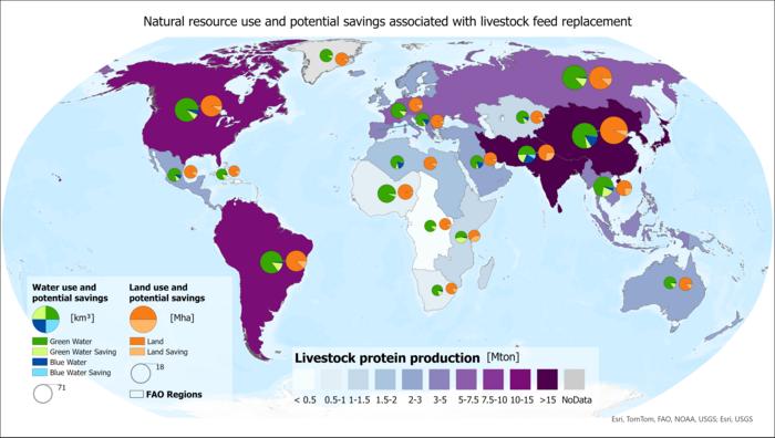 Global distribution of protein production, including meat and dairy products, adapted from FAO, combined with results on region-specific land and water use for energy-rich livestock feed production and the potential savings achievable by replacing feed wi