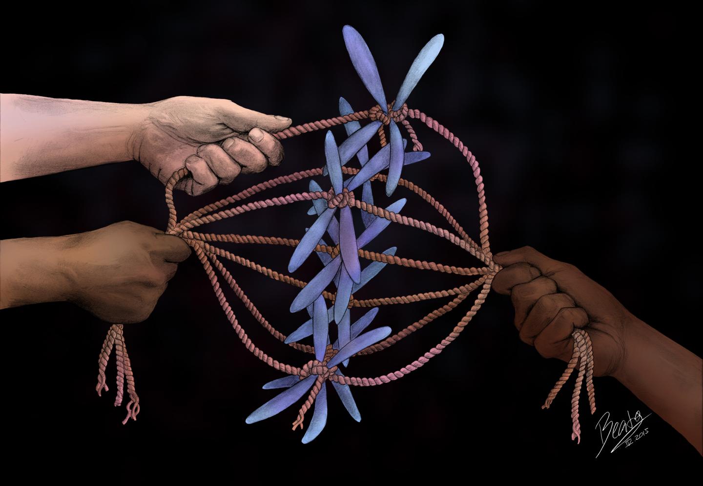 How Much Force Is at Work?