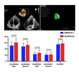 Comparison of 3D-RV measurements between EMINCA II and ASE/EACVI guidelines