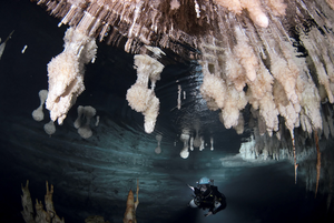 Mallorca Cave