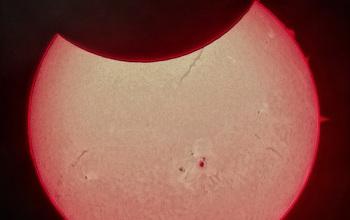 Image of the Sun Showing Prominences and Filaments