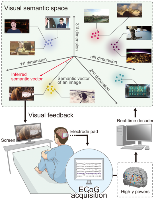 Fig. 1 Neural decoding and patient control of imagined image presentation