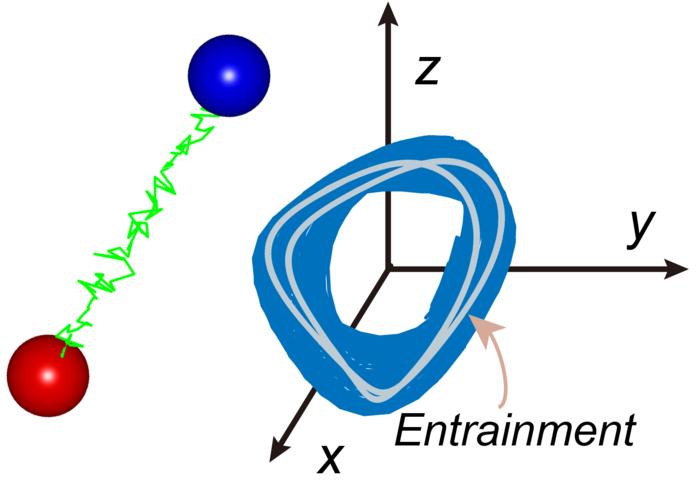 The spontaneous frequency locking within the quasiperiodicity elucidates the complexity of interactions between optical solitons