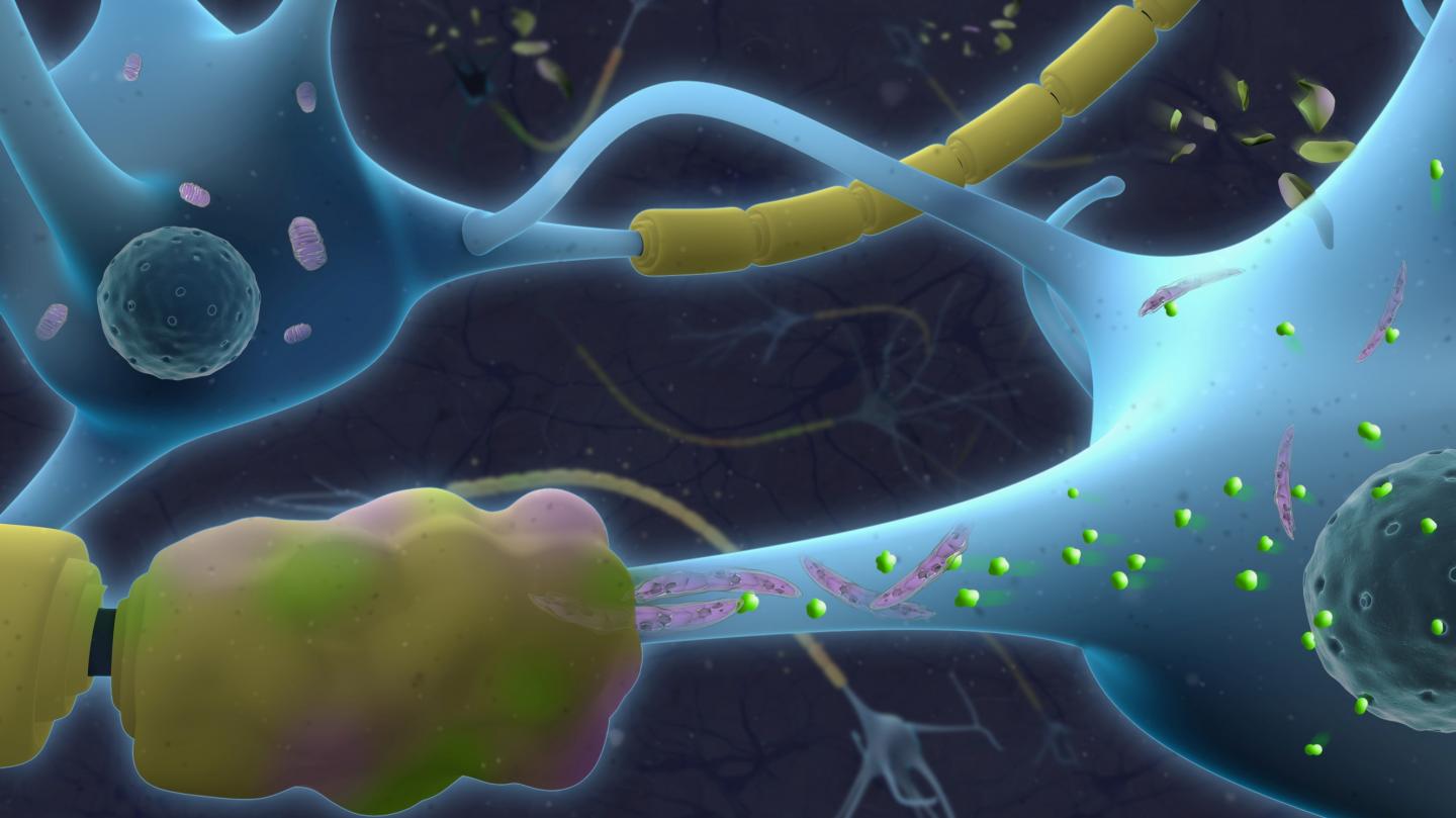 Mitochondria Damage in Progressive MS