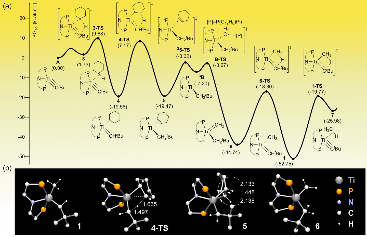 Computer-Generated Energy Profile of the Reaction