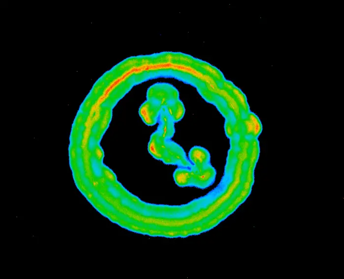 Bacterial Circadian Clocks