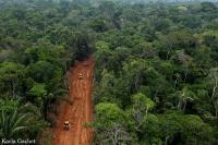 Rainforest Road