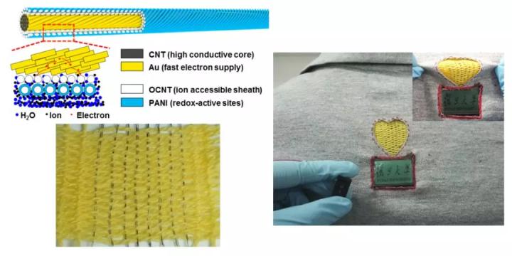 Schematic Illustration