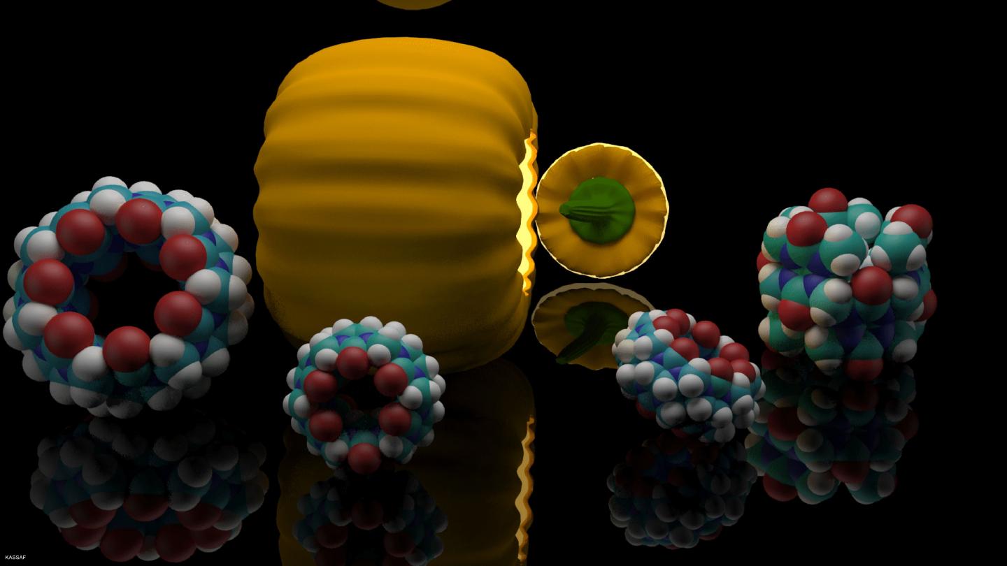 Specific Ways in the Body: New Host for Steroids